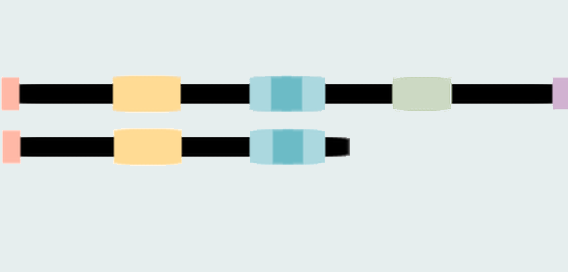 View fragments on rRNA